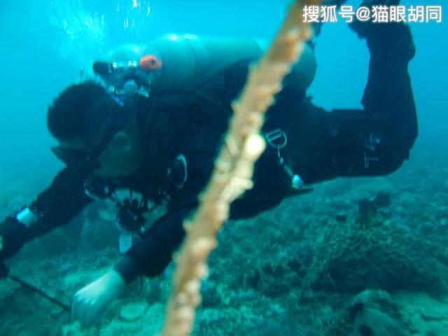 燃烧吧大脑装瓶子游戏