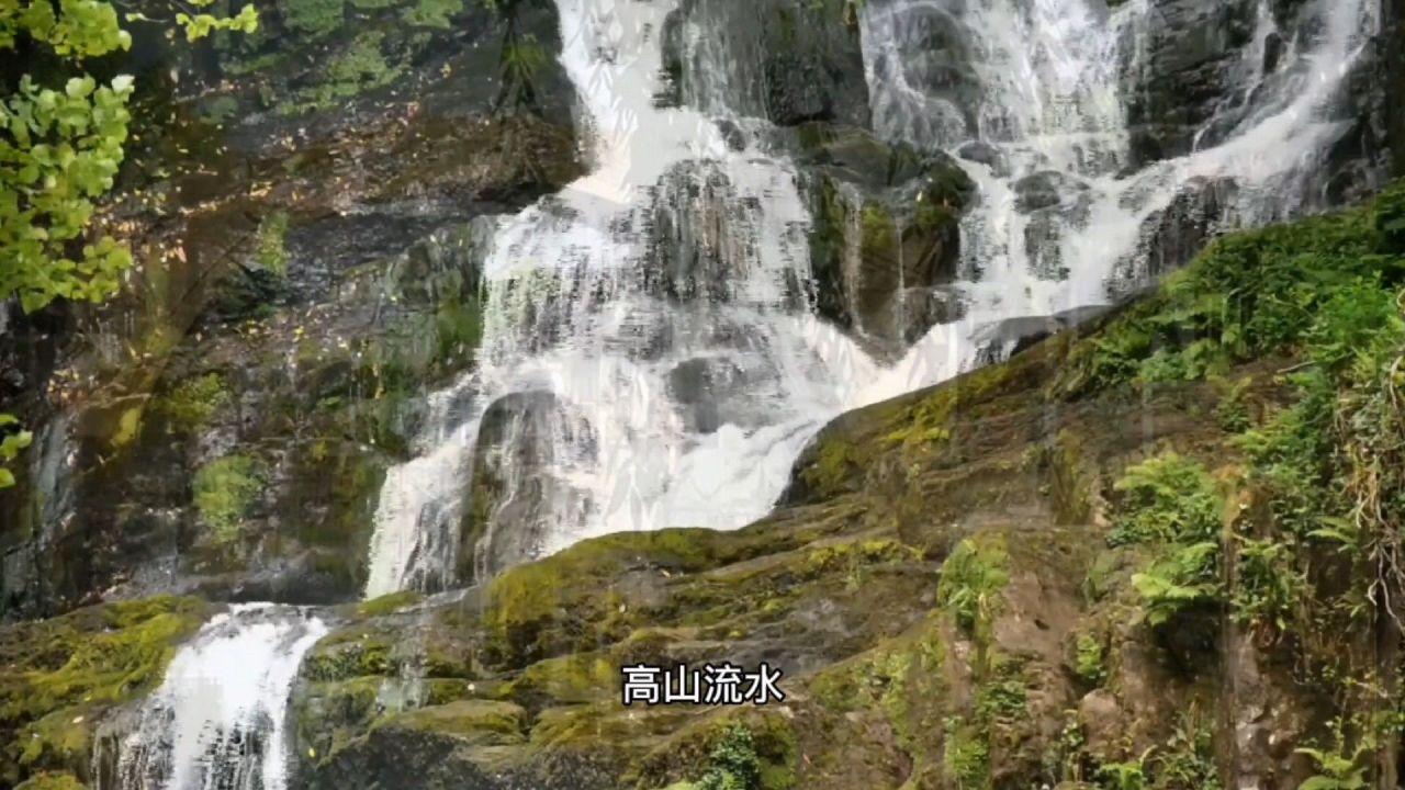 进化之地2