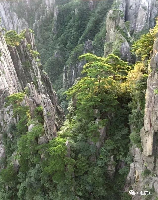 移动的靶心5